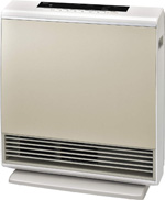 A-style gas fan heater with plasma cluster ion function