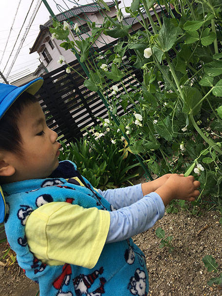 地産地消メニュー