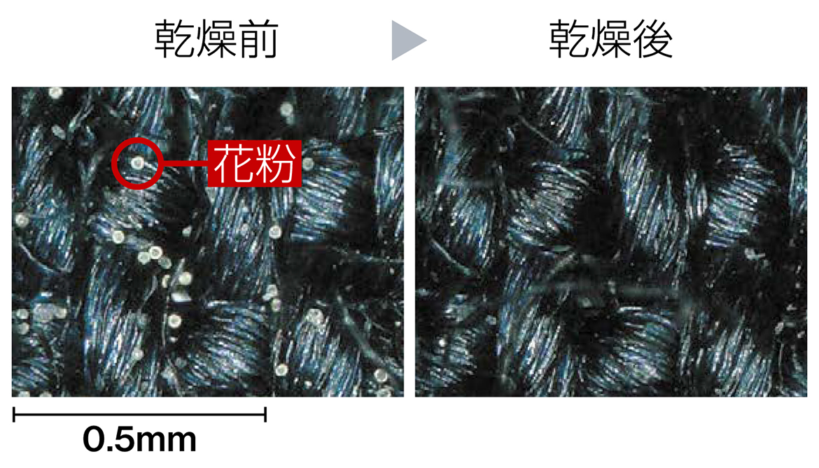 乾燥前/乾燥後