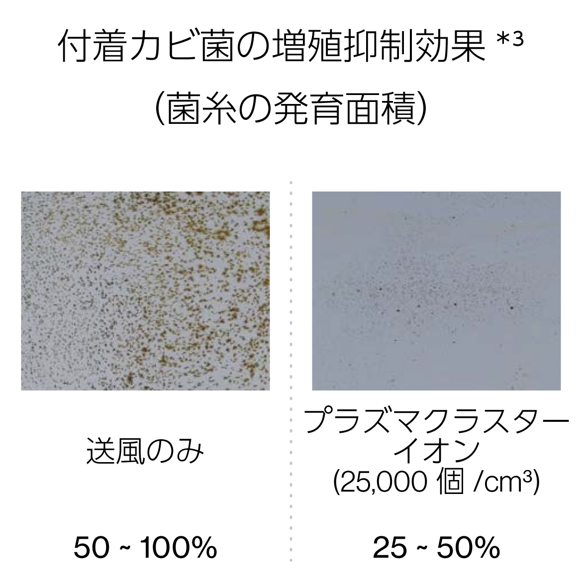 付着カビ菌の増殖抑制効果(菌糸の発育面積)