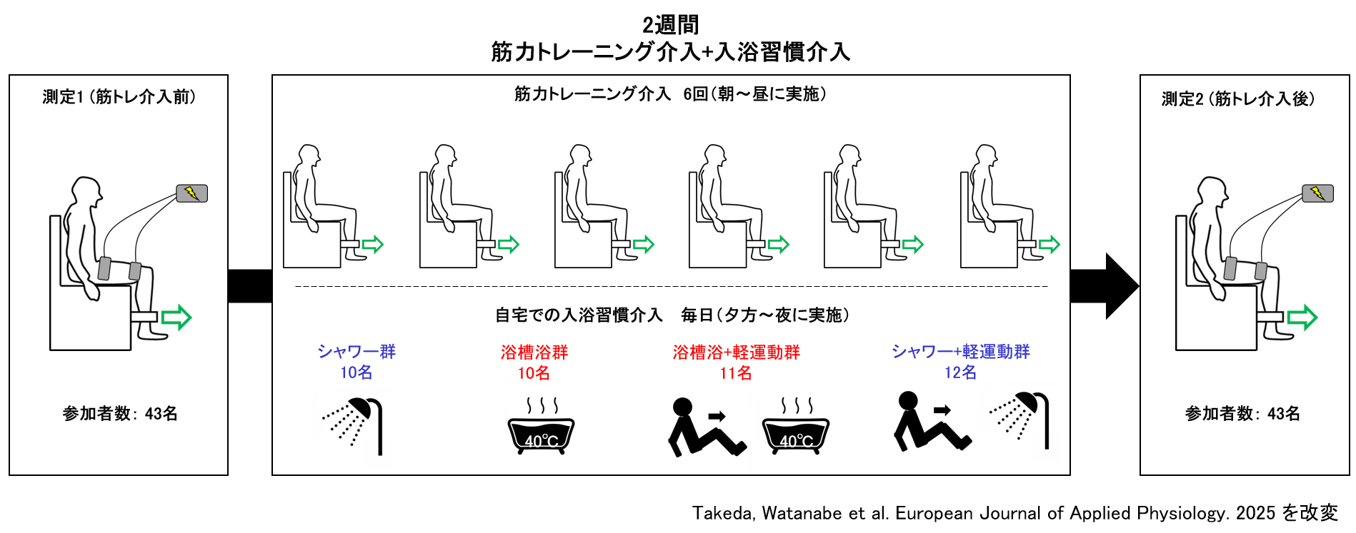 図1.　実験方法