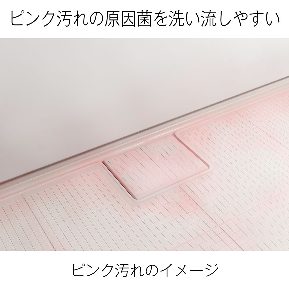 ピンク汚れの原因菌を66%減少